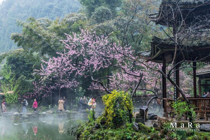探秘简述面试提问的技巧,解答你的疑惑