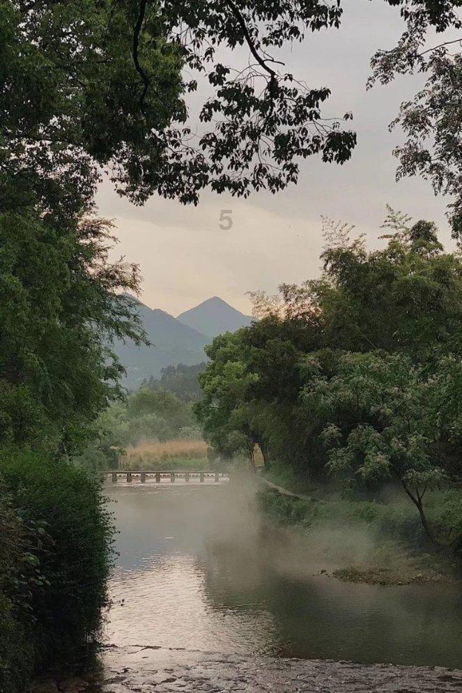 燃烧吧大脑装瓶子游戏