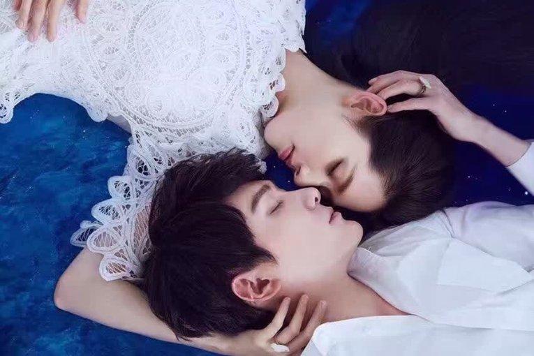 动物帮帮忙保卫家园