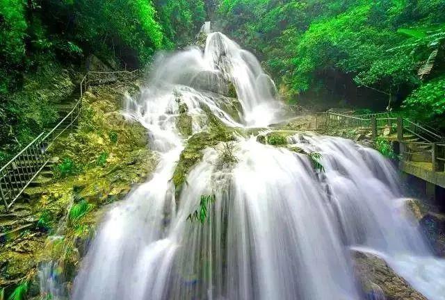 沪江开心词场