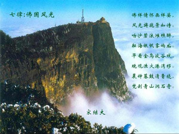 小猫钓鱼正版下载中文版