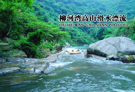 解惑交流,金桔别直接吃,这个做法化痰止咳,泡水喝!,快来提问吧!